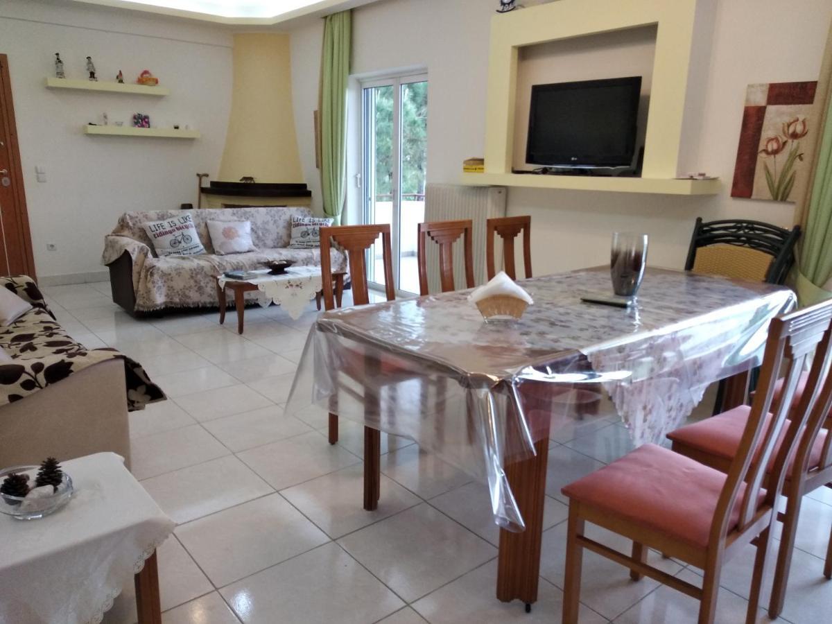 Апартаменты Kostas Family House Като-Ассос Экстерьер фото